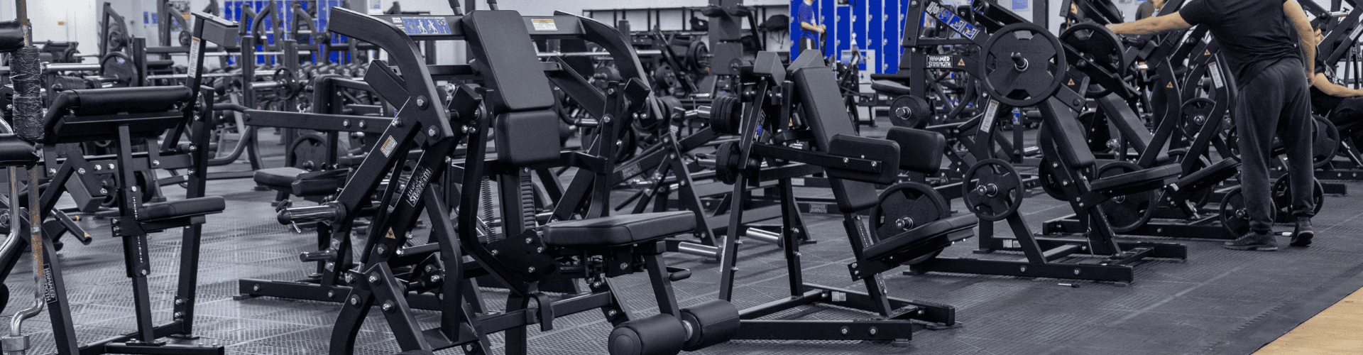 Havant Gym