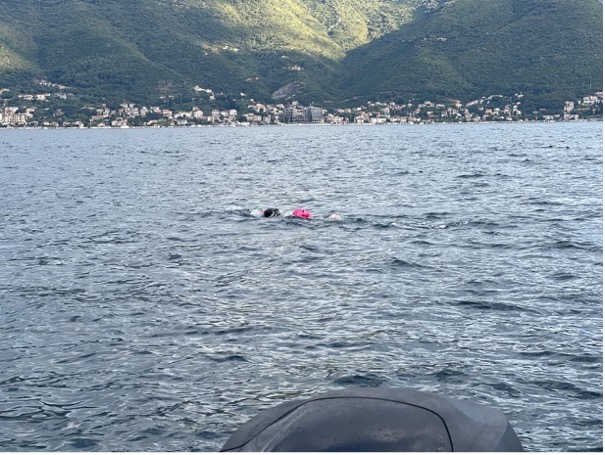 Two swimmers in calm water.