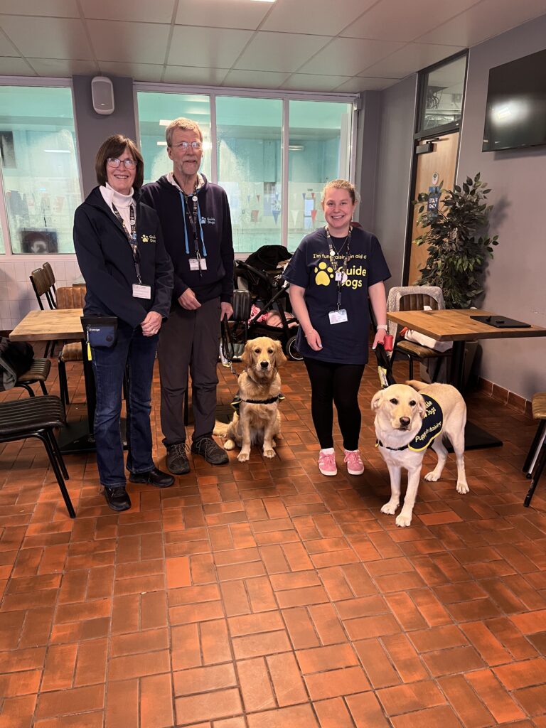 People with guide dogs in café.